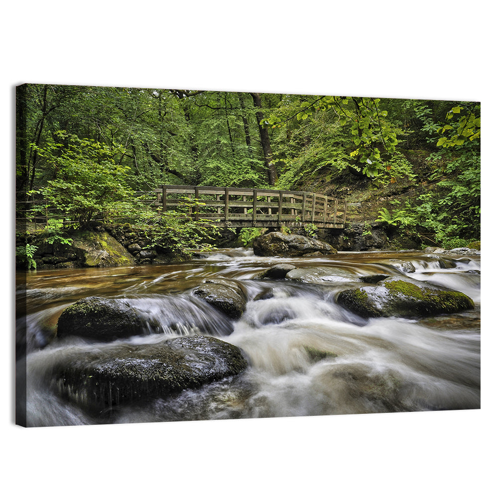 Stock Ghyll Footbridge Forest Stream Wall Art