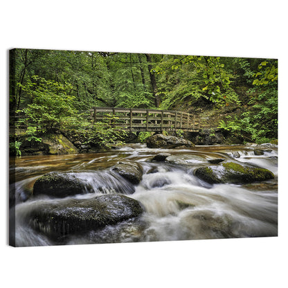 Stock Ghyll Footbridge Forest Stream Wall Art