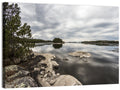 Voyageurs Pine Island Reflection Wall Art