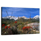 Sierra Nevada Wildflower Vista Wall Art