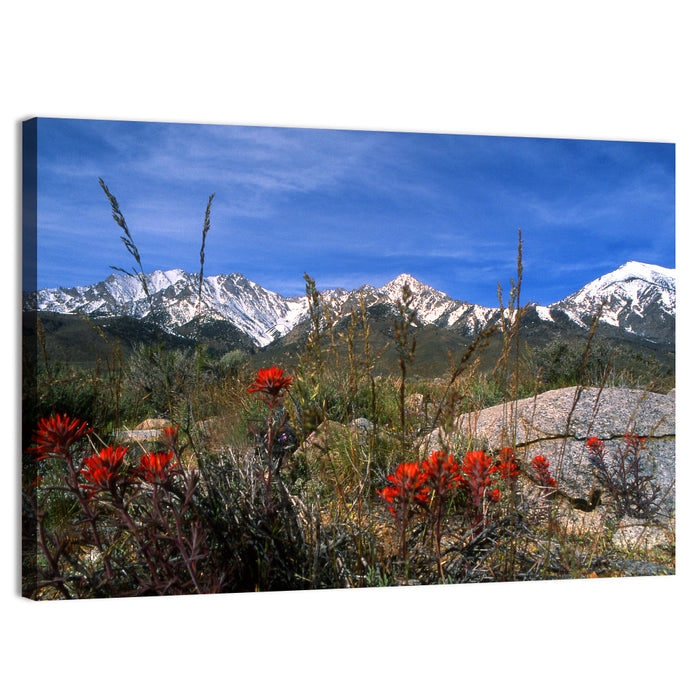 Sierra Nevada Wildflower Vista Wall Art as a canvas print