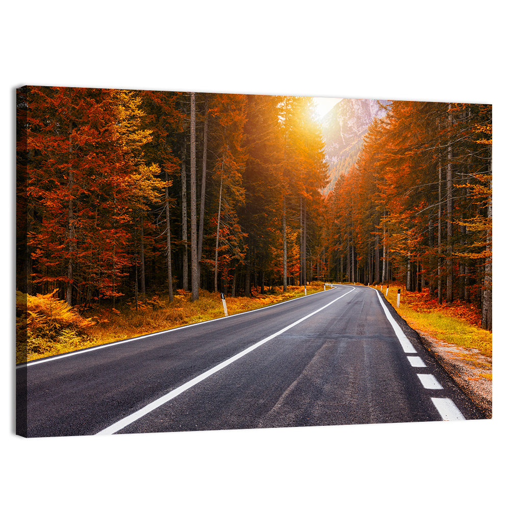 Golden Hour Forest Road Wall Art