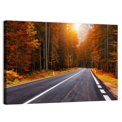 Golden Hour Forest Road Wall Art