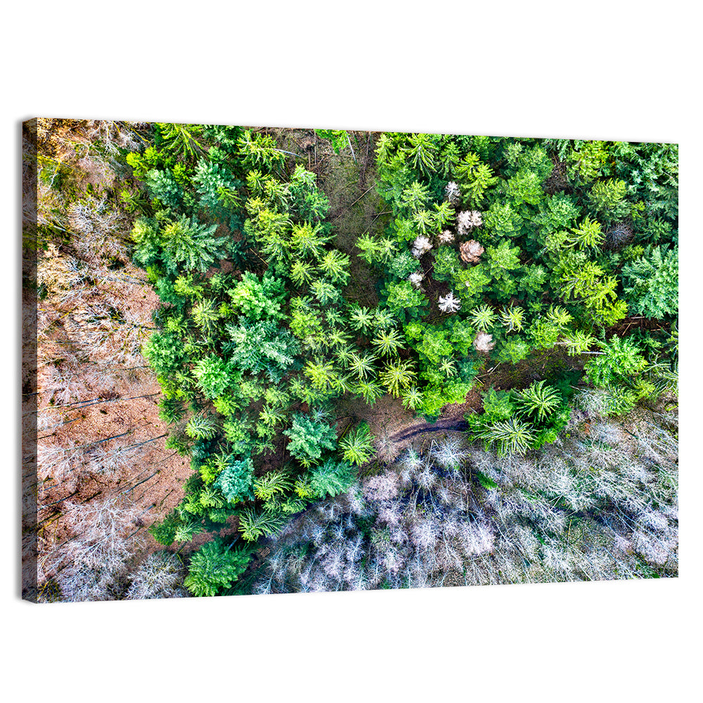 Vosges Mountains Wall Art, canvas print, landscape