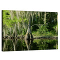 Bald Cypress and Great Blue Heron Wall Art