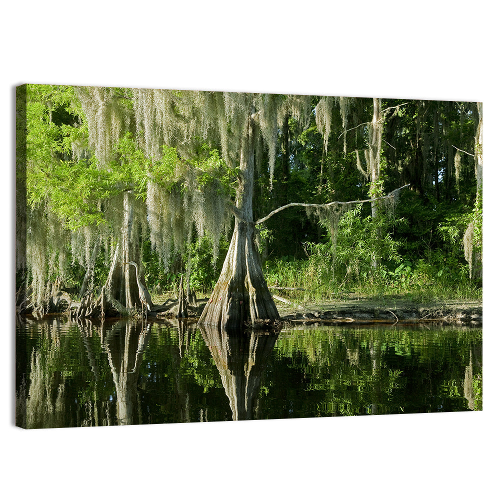 Bald Cypress and Great Blue Heron Wall Art, canvas print, landscape