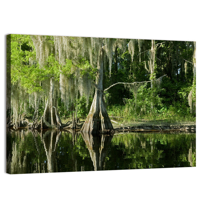 Bald Cypress and Great Blue Heron Wall Art as a canvas print