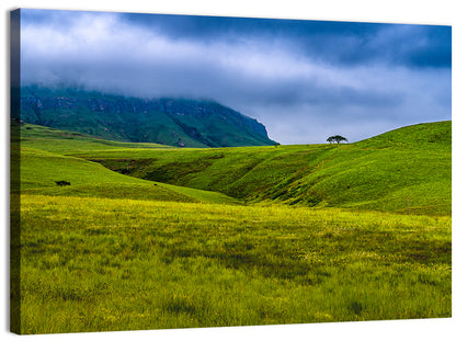Dragon Mountains with Lone Tree Wall Art