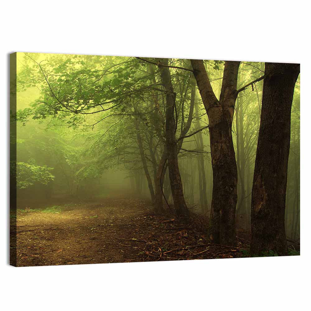 Misty Green Forest Path Wall Art