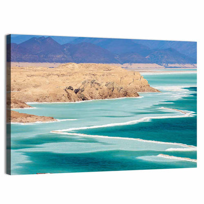 Lake Assal Salt Shoreline Wall Art