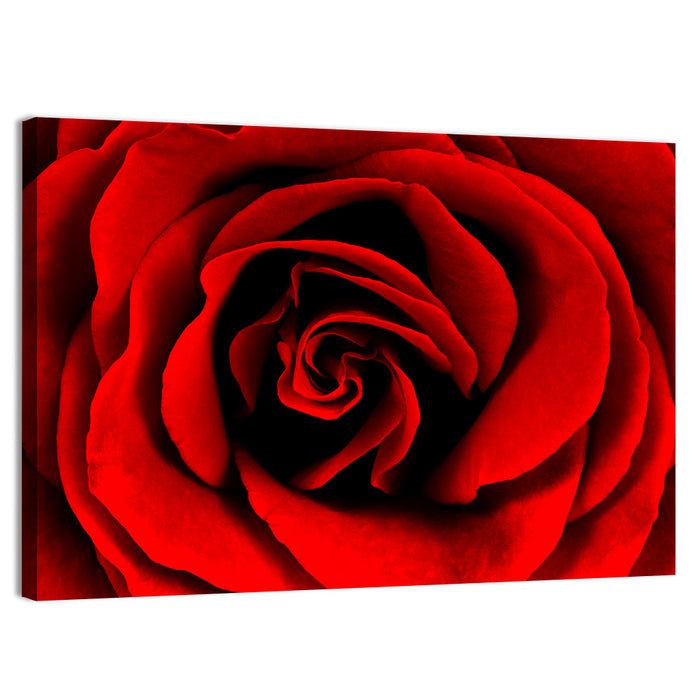 Velvety Red Rose Close-up Wall Art as a canvas print