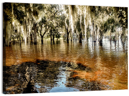 Spanish Moss Swamp at Lake Jesup Wall Art