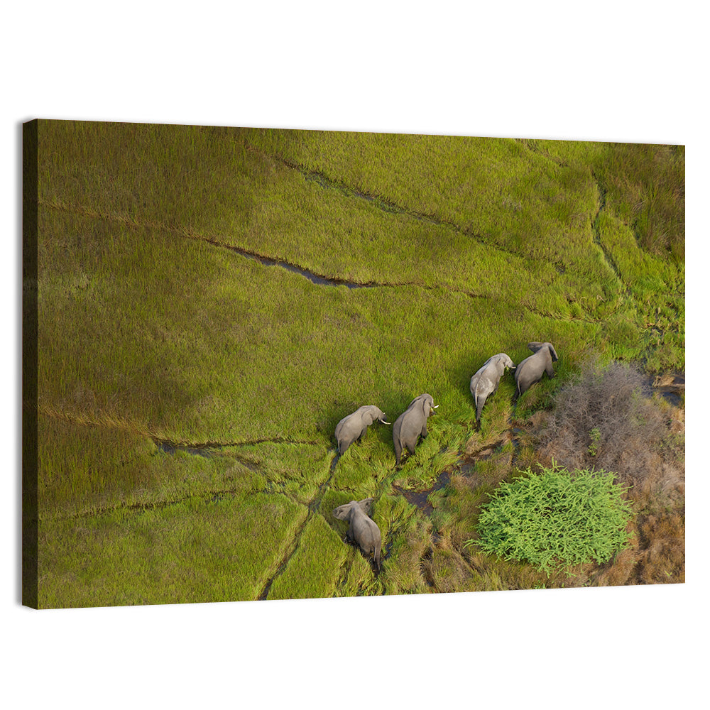Aerial Herd of Elephants Wall Art