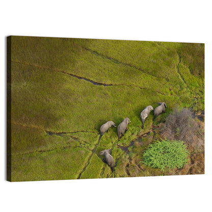 Aerial Herd of Elephants Wall Art