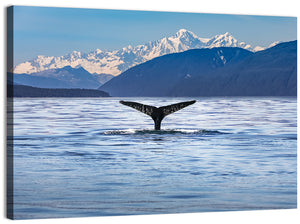 Ocean Whale Alaska Wall Art