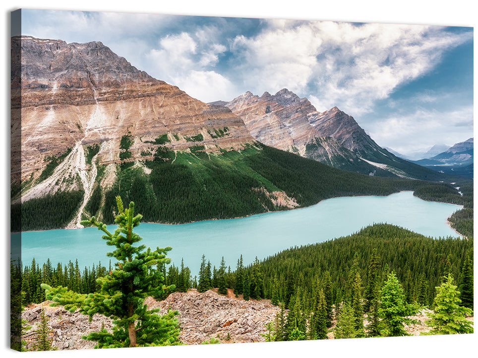 Peyto Lake Scenic View Wall Art