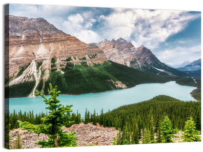 Peyto Lake Scenic View Wall Art