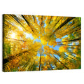Golden Autumn Canopy Wall Art