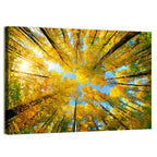 Golden Autumn Canopy Wall Art