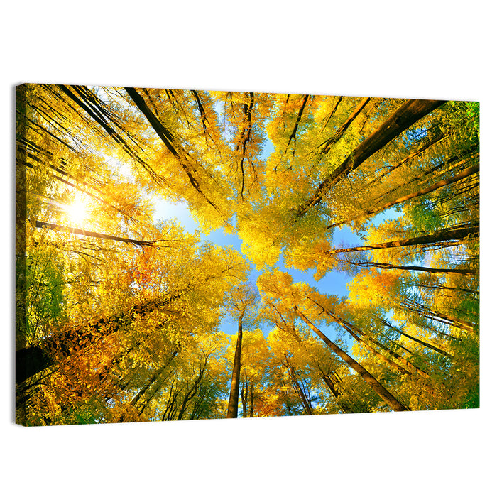 Golden Autumn Canopy Wall Art as a canvas print