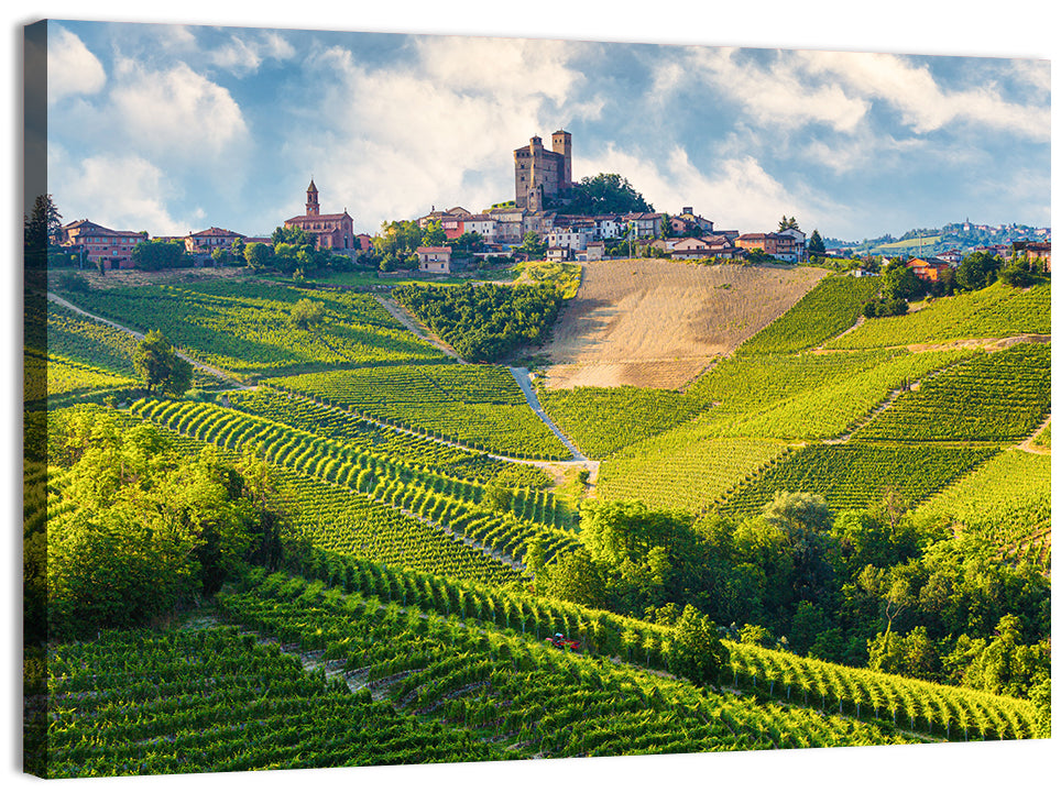 Grinzane Cavour Vineyards Wall Art, canvas print, landscape