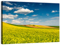 Sunlit Canola Fields Wall Art
