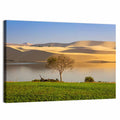 Mui Ne Lake and Sand Dunes Wall Art