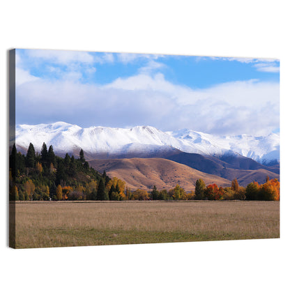 Ben Ohau Mountain Meadow Wall Art