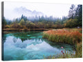 Lake Zelenci Reflections Wall Art