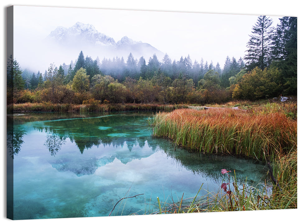 Lake Zelenci Reflections Wall Art
