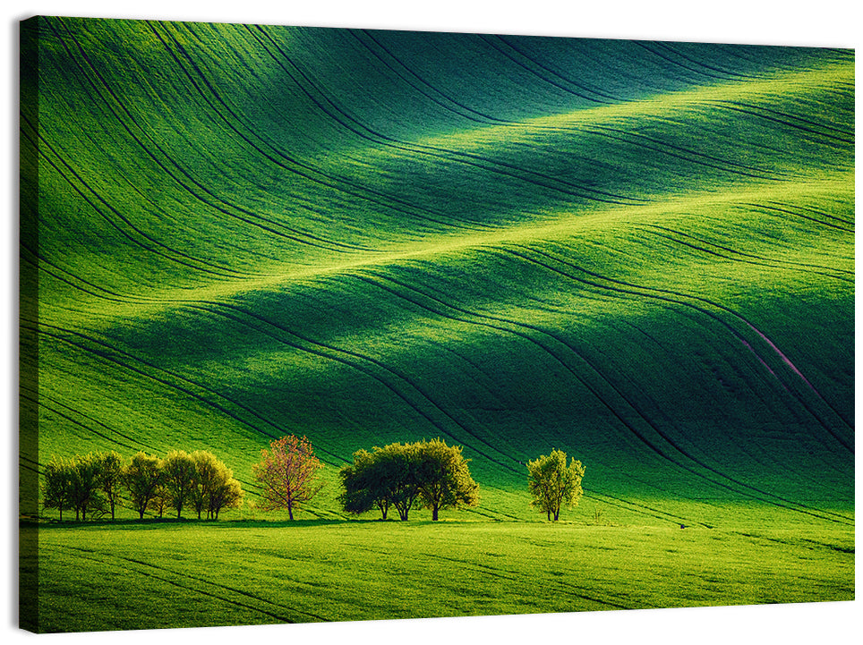 Southern Moravia Rolling Fields Wall Art, canvas print, landscape