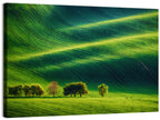 Southern Moravia Rolling Fields Wall Art