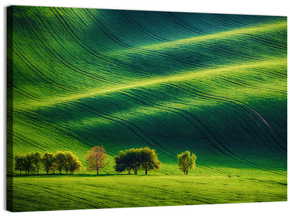 Southern Moravia Rolling Fields Wall Art