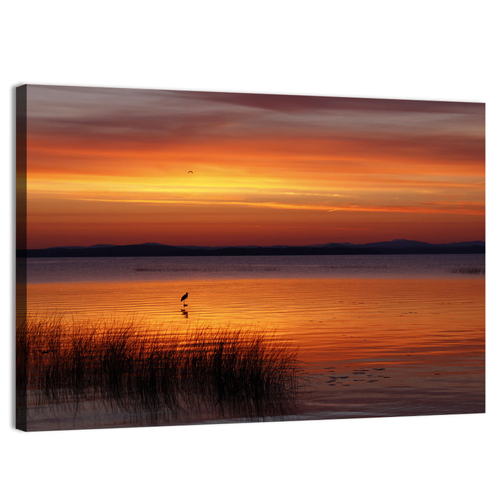Lake Champlain Sunrise with Heron Wall Art