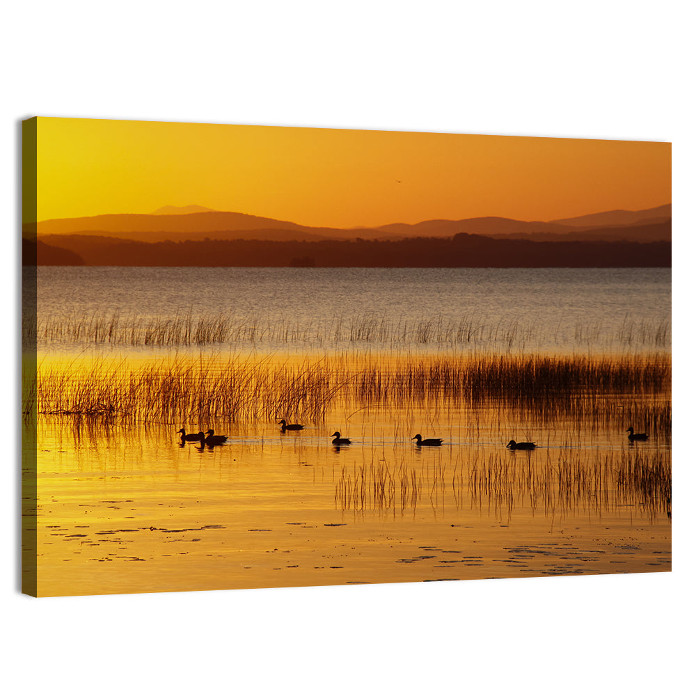 Lake Champlain Golden Sunrise Wall Art