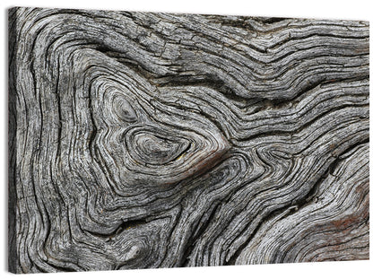 Tree Growth Rings Wall Art