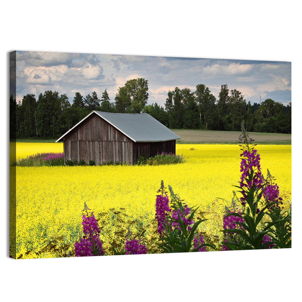 Finnish Barn in Yellow Field Wall Art