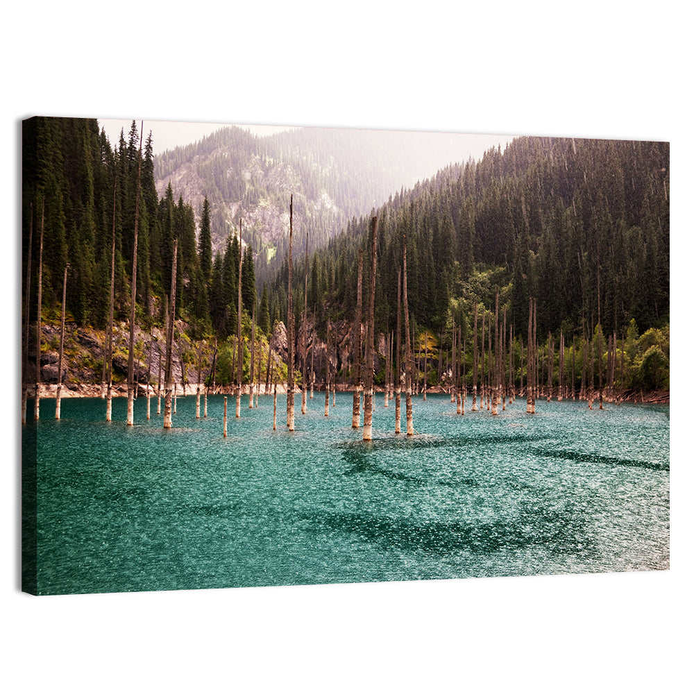 Kaindy Lake Submerged Spruces Wall Art