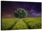 Solitary Tree in Yellow Field Wall Art