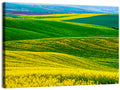 Spring Rapeseed Fields Wall Art
