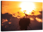 Stork Nest at Sunset Wall Art