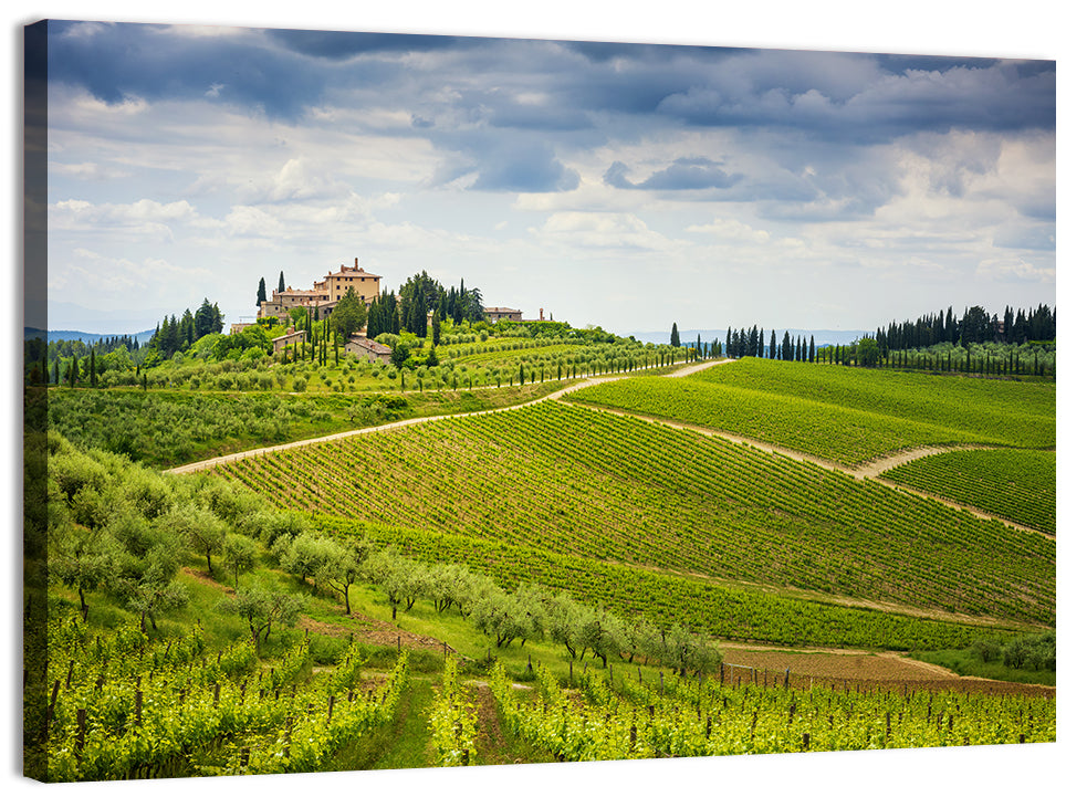 Chianti Vineyard Hills Wall Art, canvas print, landscape