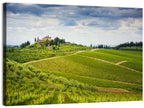 Chianti Vineyard Hills Wall Art