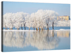 Winter Lake Reflection Wall Art