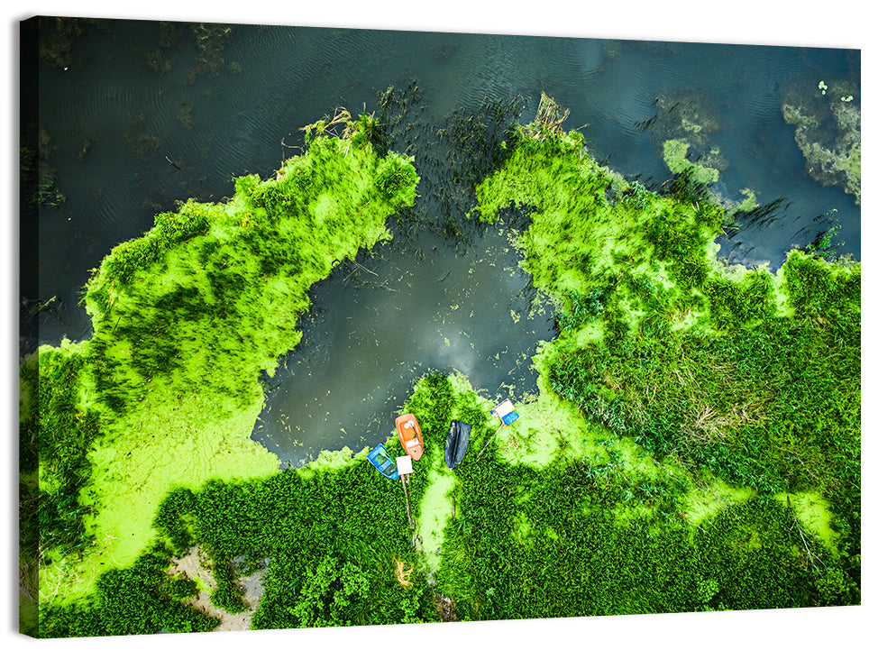 Green Algae Lake with Boats Wall Art