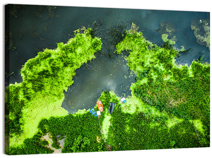 Green Algae Lake with Boats Wall Art