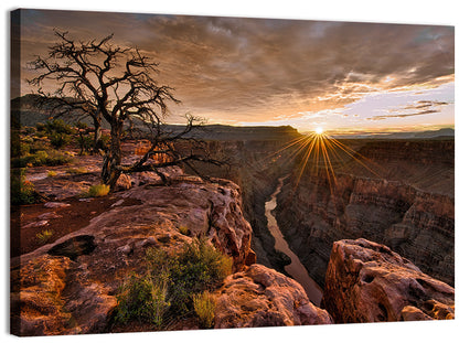Arizona Canyon Sunset Wall Art