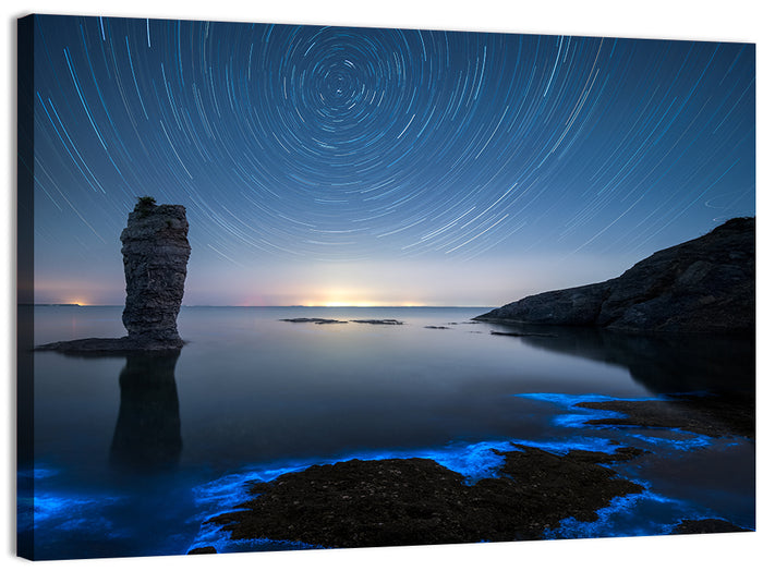 Fluorescent Sea Reef Wall Art as a canvas print
