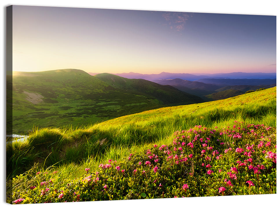 Alpine Meadow Sunrise Wall Art, canvas print, landscape