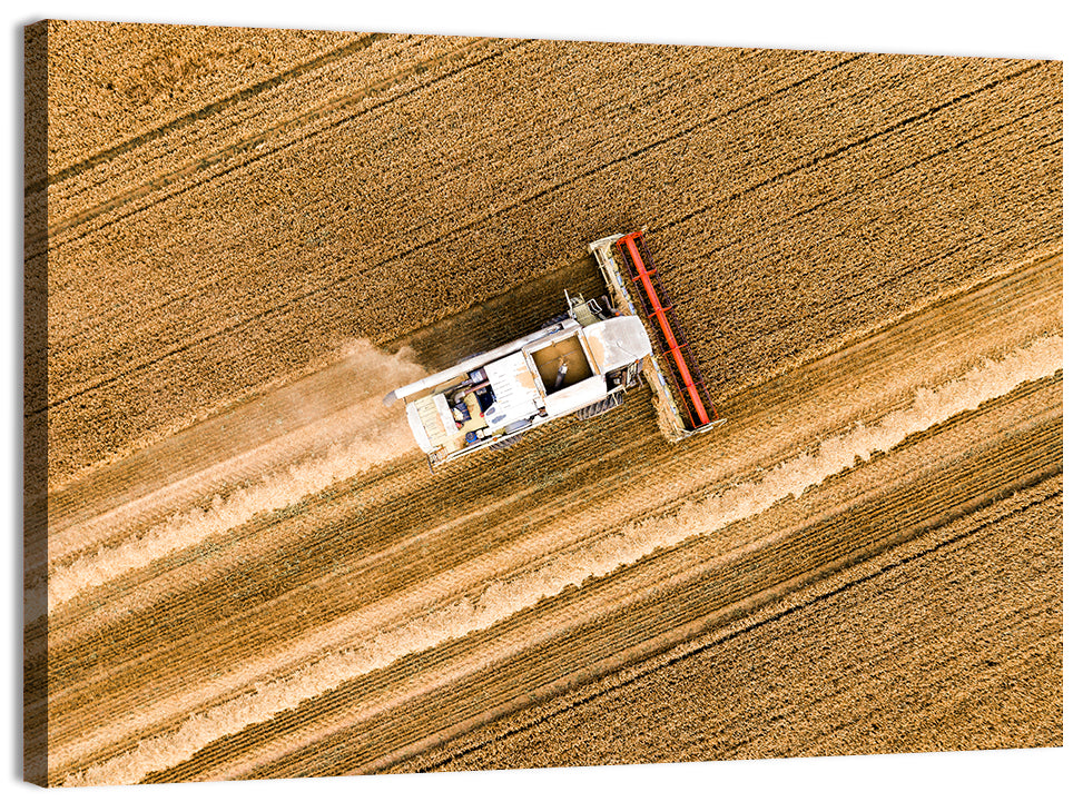 Aerial Combine Over Wheat Field Wall Art